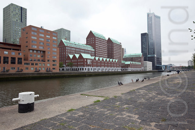 _MG_4824.jpg