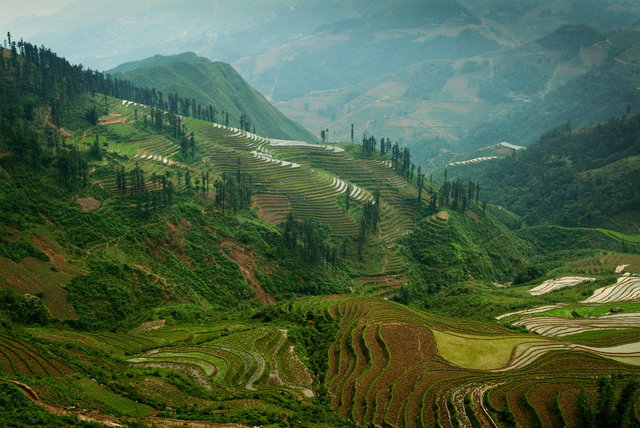 Sapa Vista