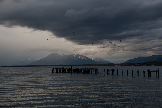 an abandoned pier is home to sea birds