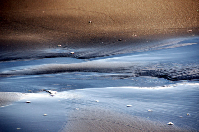 Delta del Ebro_0008.JPG
