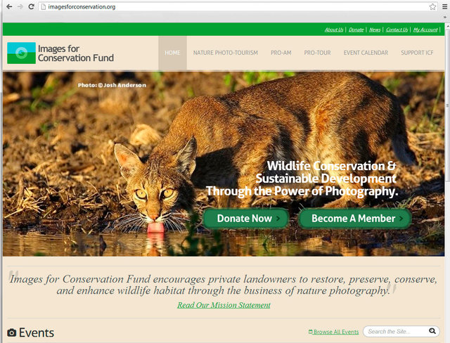 Images For Conservation (website homepage) ©2014-2013