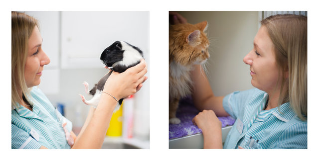 Nick John Lord veterinary photography