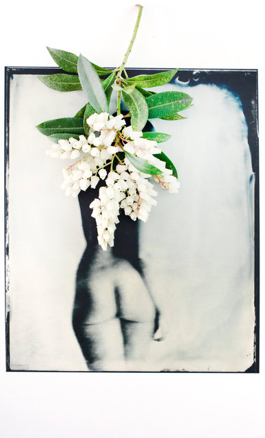 FLOWERS_1_003.JPG