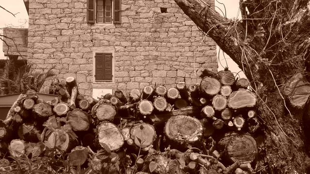 Rondins de bois, village de Grossa, avril 2012