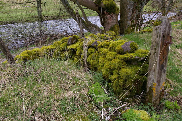 Wharfedale near Kettlewell VB.JPG