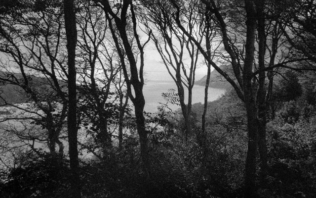 Salcombe