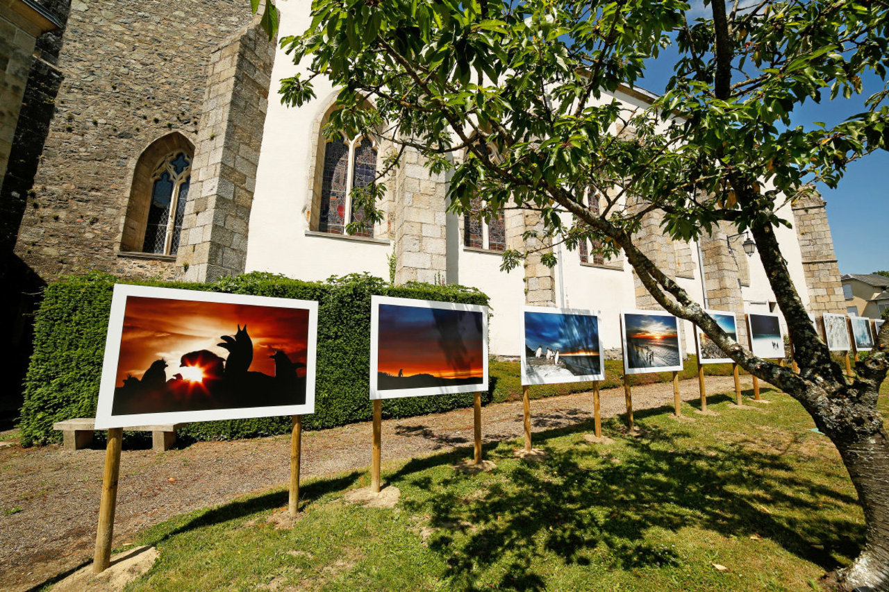 Cinquantièmes Hurlants // Furious Fifties