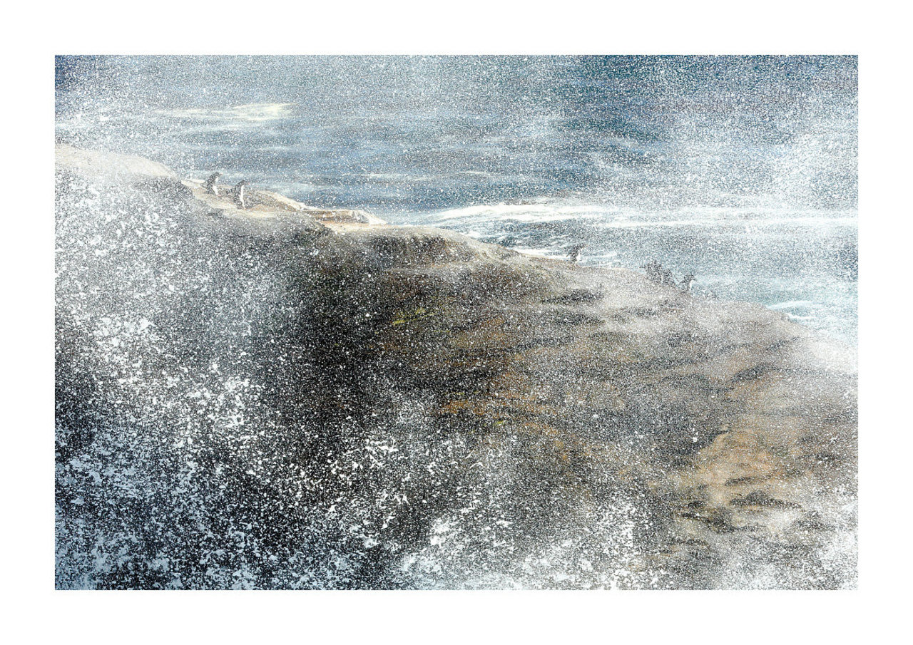 Cinquantièmes Hurlants // Furious Fifties