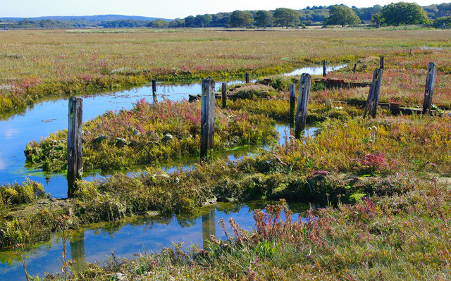 Newtown National Nature Reserve (11) VB.jpg