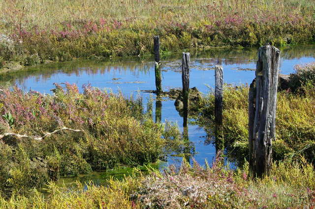 Newtown National Nature Reserve (20) VB.jpg