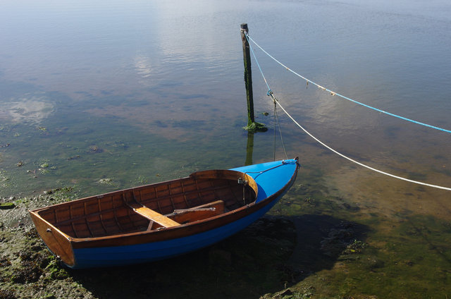 River Yar (7) VB.jpg