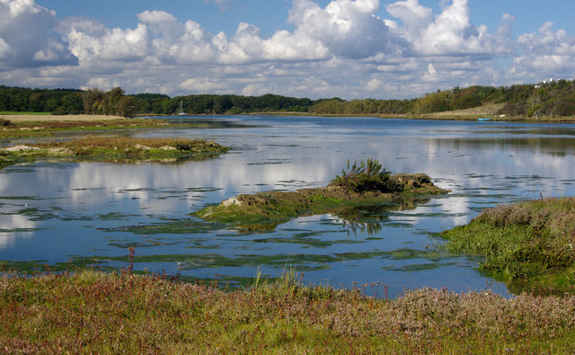 Causeway Lake, Newtown (2) VB.jpg