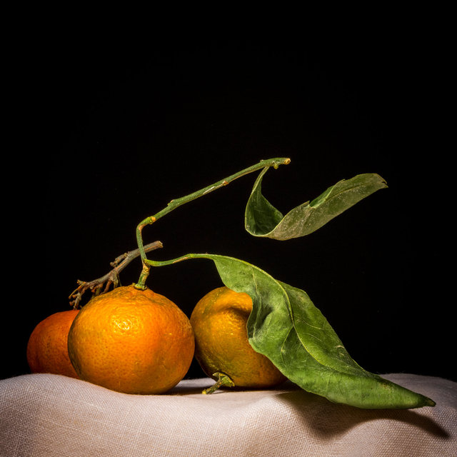 Winter_Citrus_8x10_.jpg