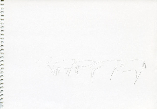 De los animales 2