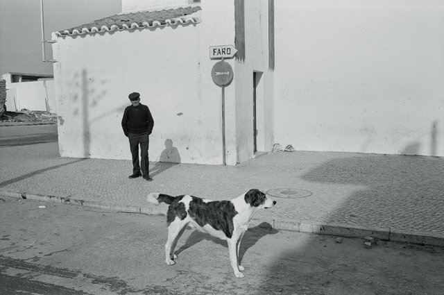 Man with dog & Faro sign Jan 1982.jpg