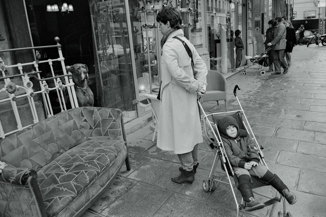 Dog in Store door with woman & baby in Paris Jan 1983.jpg