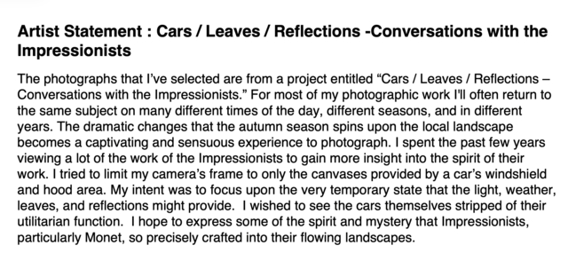 Car Leaves Artist Statement.png