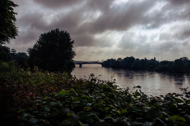 dw-20130521-168-10.jpg
