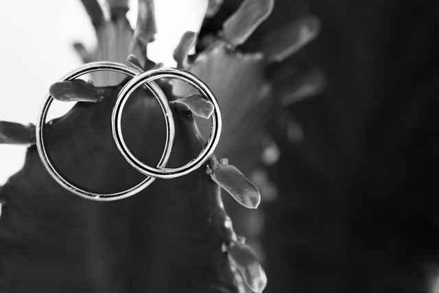 A_MG_0 0030.jpg