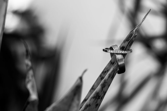 A_MG_5530.jpg