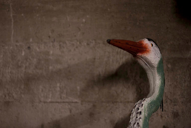 MESNAGE-naturama-2011-24.jpg