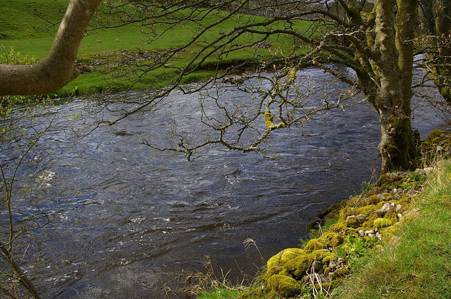 Wharfedale near Kettlewell (5) VB.JPG