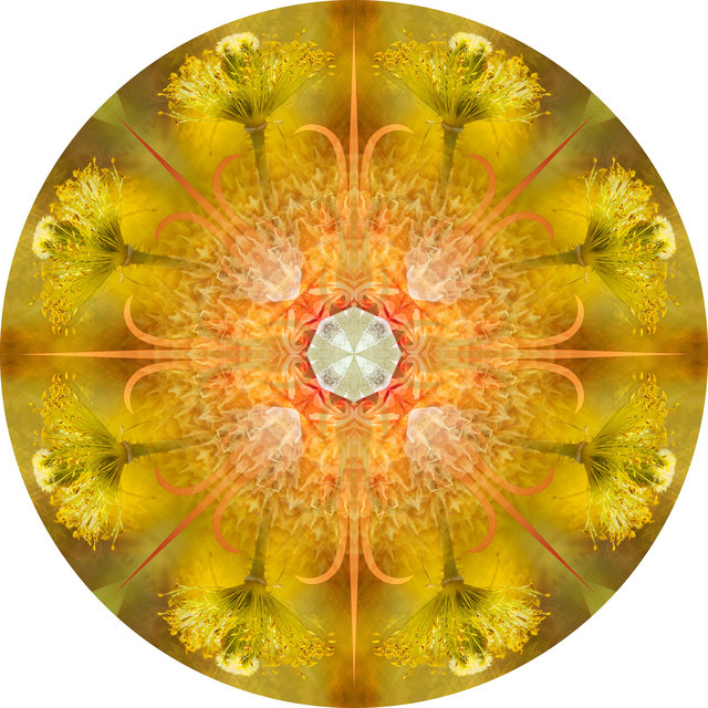 Circle 18 (Thistle)