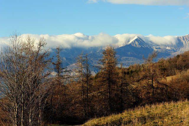 Alpes de Hautes-Provence