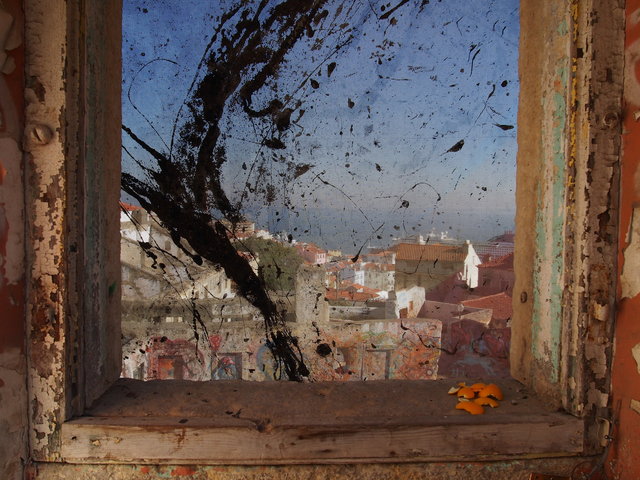 Framed in Lisbon