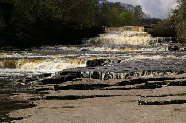 Aysgarth Falls Lower Force VB.JPG