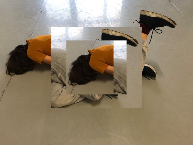 gemini.jpeg