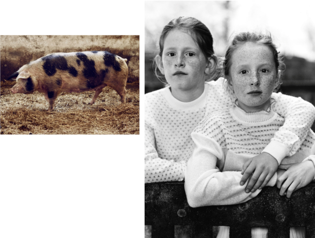 Screenshot 2026-03-11 at 19.47.38.png