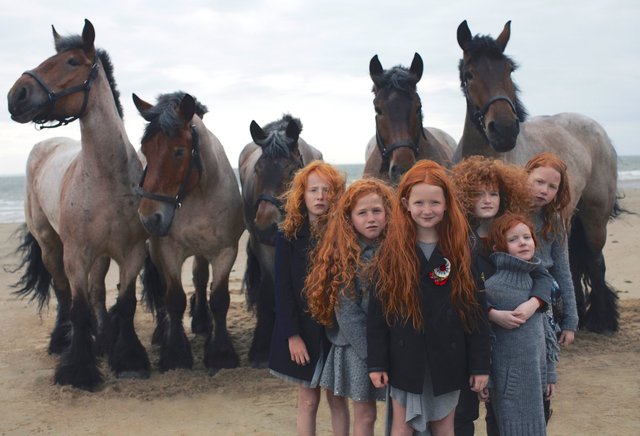 CD jet vervest vogue bambini7.jpg