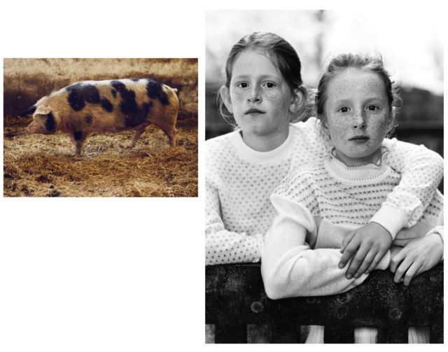 Screenshot 2025-11-04 at 16.35.04.png