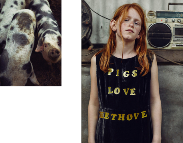 Screenshot 2026-03-11 at 19.49.16.png