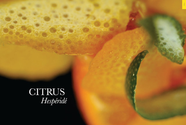 Hespéridé (Citrus) - Un Parfum d'Image