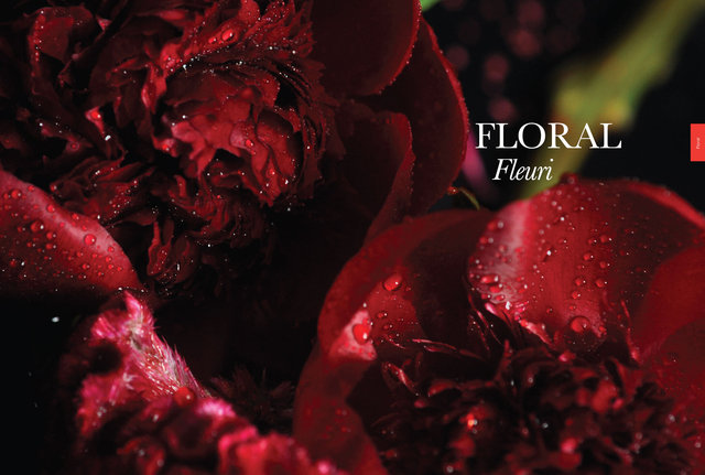 Fleuri - Le Mystère de la Matière