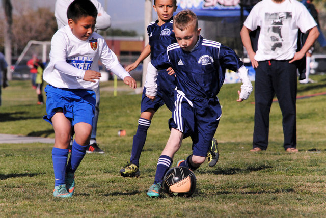 Lena_SMU2013-0832.jpg