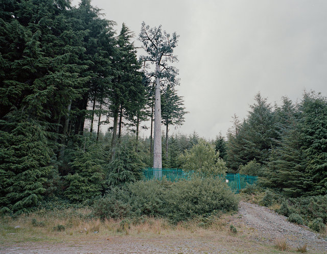 Comeragh Mountains, Waterford