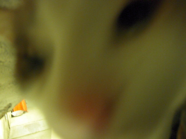 DSCN5618.JPG
