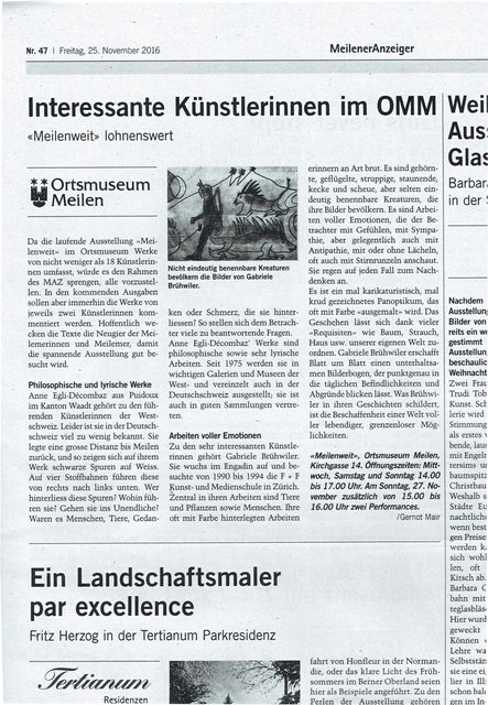 Meilener Tagblatt, 25.11.2016
