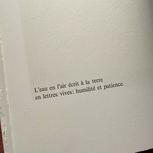 encres-d-aube-anne-egli-decombaz-et-alexandre-voisard (2).jpg