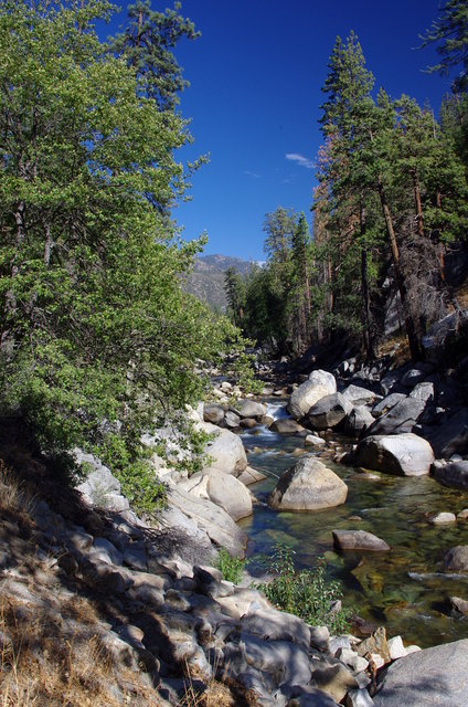 Kings Canyon National Park (8) VB.JPG