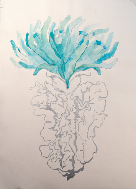 bluehands.PA110841.jpg