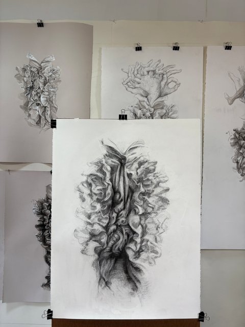 In Studio :colonies