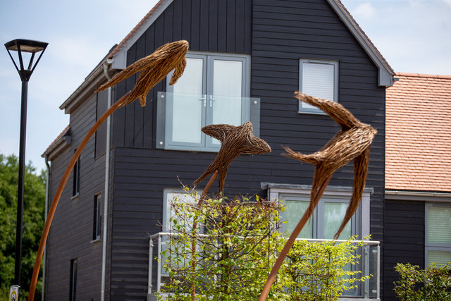 detail 3 flying birds