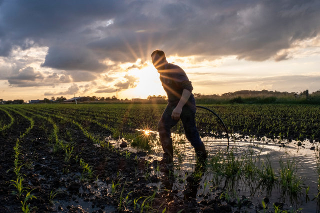 Farmer in Salland walks over his flooded land he activates the pump system that must ensure water drainage