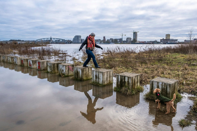 NR - Hoogwatergolf bereikt Waal-1791.jpg