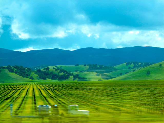 © CORDAY - Vineyard In Motion