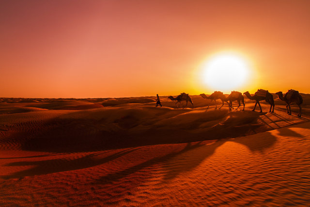 Le Grand Sud, Tunisia. 2014.